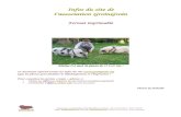 INFOS COCHONS NAINS - Association & refuge … · Web viewCe document est la synthèse de plus de trois ans de recherches d’information (recoupées et vérifiées) sur les cochons