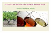 Le sol a-t-il une influence sur la qualité et la typicité du vinavg85.fr/wp-content/uploads/2014/10/2014.10.JC_.Diaporama-solvigne... · Les produits de la photosynthèse : des