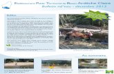 Etablissement Public T Bassin Ardèche Claire Bulletin … · la gestion du barrage de Villerest. Au cours des ... des barrages destinés à l’écrêtement des crues ... éclaircie