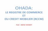 LE REGISTRE DE COMMERCE ET DU CREDIT …cno.ohada.cd/OHADA-RDC/7_Formation_OHADA/Droit/74... · fondateurs de l’OHADAde créer un environnement moderne, souple et attractif aux