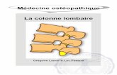 Médecine ostéopathique La colonne lombaireosteopedia.iao.be/uploads/lwk_fr_demo_2.pdf · La position neutre de la région lombaire est une lordose. Figure 1 - La position neutre