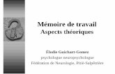 Élodie Guichart-Gomez Aspects théoriques Mémoire … · La mémoire se compose de 5 systèmes indépendants quant à ... Les fonction de gestion, de contrôle et de planification