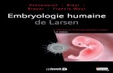 I de Larsen Francis-West Embryologie humaine · anomalies du développement embryonnaire. iv Comme la précédente, la cinquième édition de l’ouvrage Larsen’s Human Embryology
