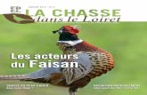 le magazine de la Fédération départementale des … 31 FDCL BD.pdfle magazine de la Fédération départementale des chasseurs du loiret les acteurs du Faisan janvier 2012 - n 31