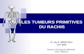 LES TUMEURS PRIMITIVES DU RACHIS - Welcome …pf-mh.uvt.rnu.tn/231/1/LES_TUMEURS_PRIMITIVES_DU_R… · PPT file · Web view2011-04-27 · LES TUMEURS PRIMITIVES DU RACHIS Pr. Ag.