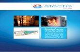 efectisefectis.com/upload/documents/EFECTISFRANCE2015.pdf · 2016-10-30 · n Le degré de stabilité au feu des structures et leur protection n Les performances de résistance au