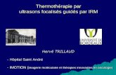 Thermothérapie par ultrasons focalisés guidés par …cerf.radiologie.fr/sites/cerf.radiologie.fr/files/Enseignement/DES... · Thermothérapie par ultrasons focalisés guidés par