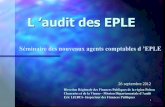 L ’audit des EPLE - Accueil · L ’audit des EPLE ... 4.4 Gestion des stocks 6 28 21,4 Thème 5- Examen de dépenses et de procédures spécifiques 19 56 33,9 5.1 Gestion des voyages