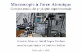 Microscopie à Force Atomique - perso.ens-lyon.frperso.ens-lyon.fr/antoine.berut/autres/presentation_TP_AFM.pdf · Introduction : principe de l'AFM - cartographie de l'échantillon