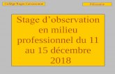 Stage d’observation - clg-carcassonne.ac-aix-marseille.fr · Ses conditions de travail Lieux de travail (bureau, atelier, ... personnel ? •A-t-il des possibilités de promotion,