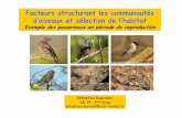 Facteurs structurant les communautés d’oiseaux et ... L3pro 2009.pdf · Les oiseaux : un bon modèle en Écologie des communautés ... Évolution de la végétation au cours d’une