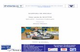RAPPORT DE PROJET 2ème année de MASTER …e-kart.fr/2011/Articles/2011-05-13-02A-IUT-GEII-de-l-Aisne... · travers le convertisseur analogique / numérique du microcontrôleur.