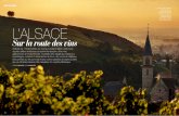 Alsace : la route des vins - lagrangeducouvent.com€¦ · Le vignoble et les femmes 1 2 4 1. ... précieux Sgi ilel, un label de qualité. ... ateliers de découverte des millésimes