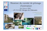 Réunion du comité de pilotage d’animation - Natura 2000valleeherault.n2000.fr/.../actualites/diaporama_copil2_anim.pdf · -1ère phase = fusion des chartes de 4 sites qui se superposent
