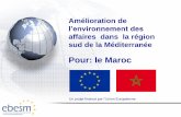 Pour: le Maroc - ebesm.eu MA... · d’accompagnement de l’entreprenariat et l’intégration de l’informel et la mise en place d’aides ... en application au Maroc, d’autant