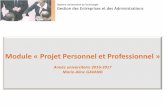 Module « Projet Personnel et Professionnel · Module « Projet Personnel et Professionnel » Année universitaire 2016-2017 Marie-Aline GAVAND Diplôme Universitaire de Technologie