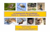 La biodiversité des Vertébrés Partie 2 : Oiseaux et …perso.univ-rennes1.fr/sebastien.dugravot/CM SVT OiseauMammif.pdf · Intermédiaires entre les «reptiles» et les oiseaux: