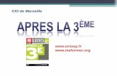 CIO de Marseille - Collège Jean Malrieu · des entreprises, banque ... SES (ou PFEG) + 2 enseignements ... Cet enseignement permet de montrer l'intérêt et la richesse d'une