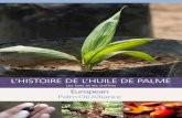 L’Histoire de L’HuiLe de paLme - palmoilandfood.eu · La production d’huile de palme 4 L’huile de palme durable 6 La consommation d’huile de palme 7 Les utilisations de