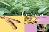 SOJA 3 volets (05-08):SOJA 3 volets (05/08) · Ses graines contiennent 20 % d’huile et 40 % de protéines de bonne qualité. ... le soja est capable d’utiliser l’azote de l’air