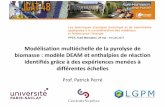Modélisation multiéchellede la pyrolyse de biomasse ...projet.ifpen.fr/Projet/upload/docs/application/pdf/2017-06/1-perre... · La simulation prédictive 1/06/2017 Patrick Perré,