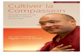 Français version e-book Cultiver la Compassion · Aa cas où les ventes généreraient une marge nette, veuillez suivre les termes et les procédures – ... Adoptant l’ordre inverse,