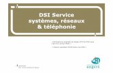 DSI Service systèmes, réseaux & téléphonie · 19/03/2009 DSI -service systèmes & réseaux 2 Plan • Introduction plan du réseau • Origine, projet IPV6-adire — Fourche IPV6