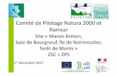 Comité de Pilotage Natura 2000 et Ramsar - baie …€¦ · Comité de Pilotage Natura 2000 et Ramsar Site «Marais breton, baie de Bourgneuf, île de Noirmoutier, forêt de Monts»
