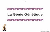 La Génie Génétique - svt.asso-web.com fileLa découverte, dans les années 1950, du rôle de l'ADN et des gènes qu'il contient a donné naissance à une discipline appliquée: