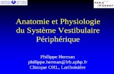 Anatomie et Physiologie du Système Vestibulaire …l3bichat2013-2014.weebly.com/uploads/1/3/9/0/13905422/physiologie... · Anatomie et Physiologie du Système Vestibulaire Périphérique