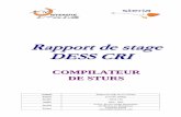 Rapport stage 2005 - nade77.free.frnade77.free.fr/CV/CV_gonord_fichiers/Rapport_stage_2005.pdf · Par la suite, je propose une synthèse sur les différentes étapes qui ont constitué