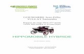 HIPPOMOBILE HYBRIDE - aveniratoutcrin.free.fraveniratoutcrin.free.fr/doc/rapport technique.pdf · -Voiture hybride: Le système, qui était très certainement le plus compliqué étudié.