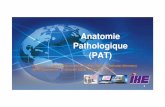 Anatomie Pathologique (PAT) - InteropSanté · nécessaires à la prise en charge diagnostique et thérapeutique (items minimaux d’une « checklist »). Initiative internationale