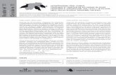 Rundbrief 11 2008 Circulaire 11 - birdlife.ch · Guide de promotion de l’Hirondelle de rivage en Suisse.....4 Le Faucon crécerelle: ... en Suisse », est déjà disponible en format