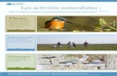Les activités naturalistes - Picardie · Grâce à l’oreille de votre guide naturaliste, apprenez à distinguer les chants des oiseaux, des plus familiers aux plus discrets (rougegorges,