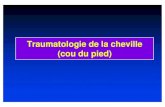 Traumatologie de la cheville (cou du pied)fmpc.ac.ma/cours/traumato/bimall%e9olaire15.pdf · -Situation à définir par rapport aux ligaments péronéo-tibiaux ... interne et interne