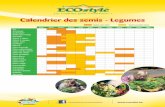 Calendrier des semis - Legumes - ECOstyle Belgi« .Calendrier des semis - Legumes Semis sous abri