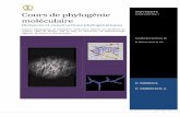 cours de phylogénie moléculaire - Université des Frères Mentouri Constantine 1 … de phylognie molculaire.pdf · 3 réambule: La phylogénie moléculaire est une discipline qui