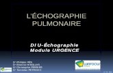 L’ÉCHOGRAPHIE PULMONAIREnaxos.biomedicale.univ-paris5.fr/diue/wp-content/uploads/2014/05/... · Radio pulmonaire de face, au lit ... Sémiologie basée sur les artéfacts ... •Oreilles