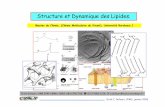 Structure et Dynamique des Lipides - · PDF filedes lipides membranaires C. Structures cristallines D. Hydratation des lipides E. Dynamique des lipides Erick J. Dufourc, CNRS, janvier