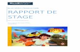 RAPPORT DE STAGE - Cours Hattemer · BLUE SPIRIT PRODUCTION RAPPORT DE STAGE JEAN-LUC FRANCOIS Réalisateur Paul Lejeune Seconde STD2A 19/06/2015