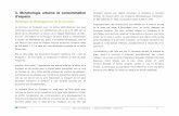 3. Morphologie urbaine et consommation d’espacelepouliguen.fr/.../fichier/2014/plu/1264_morphourbaineconsomespace.pdf · 3. Morphologie urbaine et consommation d’espace Historique
