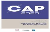 AP - observatoire-transports-hauts-de-france.fr · leur précieuse contribution à la réalisation de ce plan de modernisation du transport routier de marchandises. v.2 CAP 2020 5