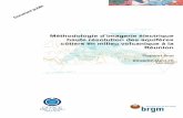 Méthodologie d’imagerie électrique haute résolution des ...infoterre.brgm.fr/rapports/RP-56612-FR.pdf · Le maintien de la pérennité et de la qualité de la ressource en eau