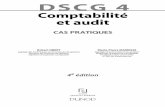 CAS PRATIQUES - medias.dunod.commedias.dunod.com/document/9782100730681/Feuilletage.pdf · de production • Retraitement s de consolidation • Audit ... émission de titres) 2.