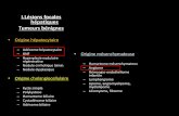 I.Lésions focales hépatiques Tumeurs bénignesonclepaul.fr/wp-content/uploads/2011/07/foie-tumeurs-bénignes-02.pdf · I.Lésions focales hépatiques Tumeurs bénignes • Origine