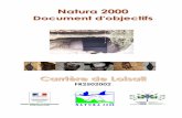 Carrière de Loisail - …€¦ · NATURA 2000 - Carrière de Loisail FR 2502002. Tome I - DIREN Basse-Normandie 3 SOMMAIRE SOMMAIRE ...