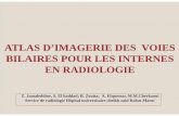 RADIOANATOMIE DES VOIES BILAIRES - pe.sfrnet.orgpe.sfrnet.org/Data/ModuleConsultationPoster/pdf/2010/1/5c52e55f-27... · Service de radiologie Hôpital universitaire cheikh zaid Rabat