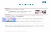 LA GRÊLE - aviation.meteo.fr · présence d’un radar météorologique au sol peut donner une information complémentaire sur