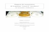 Rapport de restauration - Philippe Cattiauxphil.avmbox.com/wp-content/uploads/2012/09/rapport.pdf · Rapport de restauration de la ... imitation écaille de tortue. - Deux micros